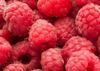 Frambuesas/Serbia: estrepitosa caída de la producción por climatología, almacenes frigoríficos vacíos y precios al alza