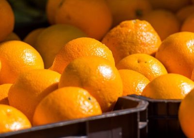 Naranjas/Florida: USDA sitúa producción 2024/25 en 12,15 millones de cajas