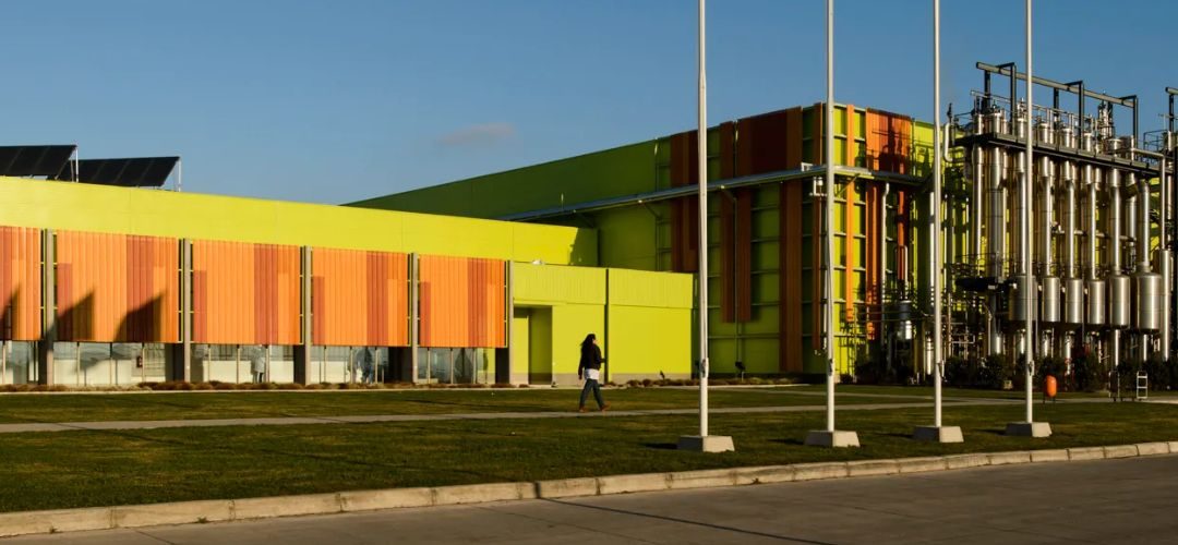 Carozzi invertirá más de 50 millones de dólares para ampliar procesos productivos de planta agroindustrial en Teno