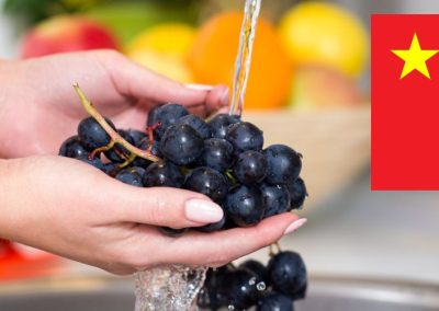 China implementará nuevo estándar para análisis de Listeria Monocytogenes en alimentos a partir de septiembre de 2025