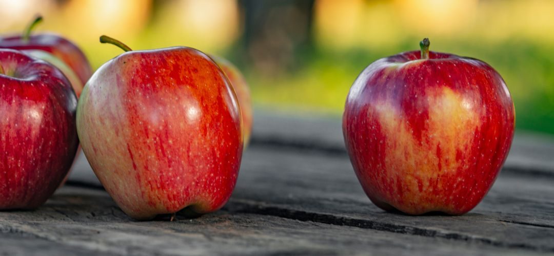 Manzanas: Crece 53% la superficie en los últimos 5 años en Polonia