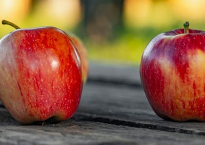 Manzanas: Crece 53% la superficie en los últimos 5 años en Polonia