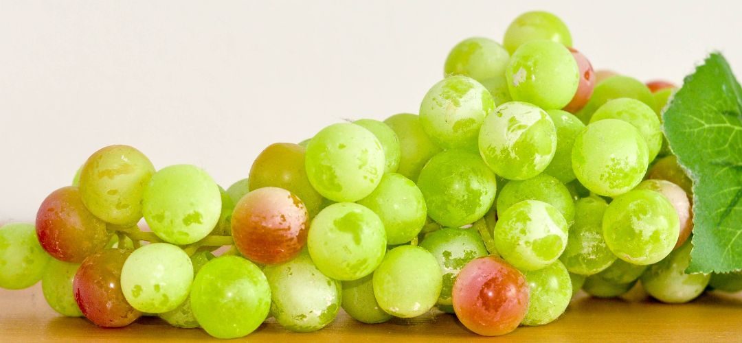 Uvas: Estudio descubre más de 1.600 compuestos biológicos beneficiosos que favorecen el corazón, el cerebro, la piel y el sistema digestivo