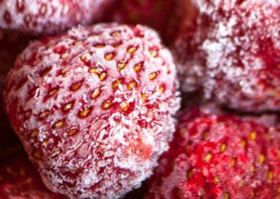 Frutillas Congeladas/Polonia: Volumen importado se ha incrementado en 10 veces en la última década
