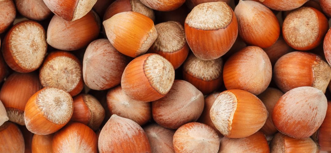 Avellanas/Turquía: sube más del 50 % el precio de compra por escasez de oferta