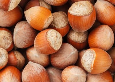 Avellanas/Turquía: sube más del 50 % el precio de compra por escasez de oferta