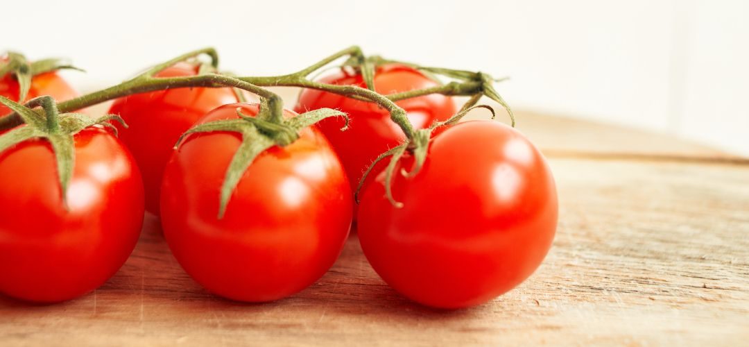 WPTC: Italia sube su previsión de tomate a 5,8 Millones de toneladas, desafíos climáticos para California, Irán y Portugal al 08 de agosto 2025