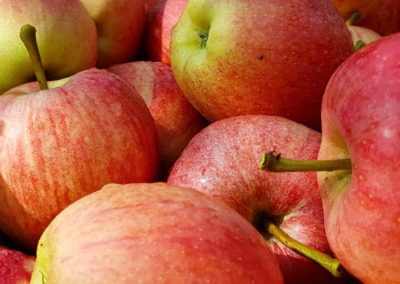 Manzanas/EE.UU.: Stock para procesamiento alcanzó 6,5 millones de bushels al 01 de Agosto 2025