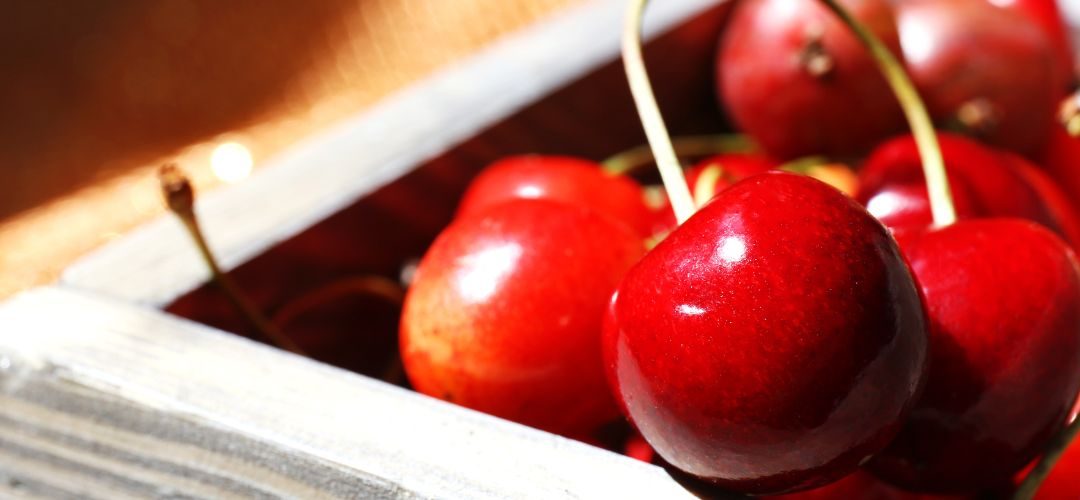 Revista del Campo destaca valor agregado que la agroindustria da a las cerezas