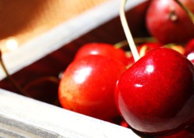 Revista del Campo destaca valor agregado que la agroindustria da a las cerezas