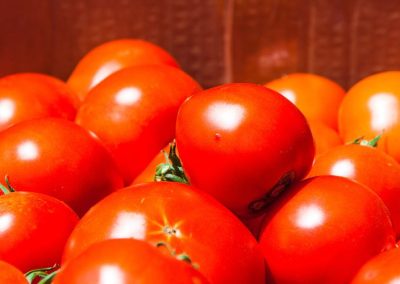 Tomate Industrial/Túnez: principal zona de producción sufre caída de rendimiento hasta el 40%