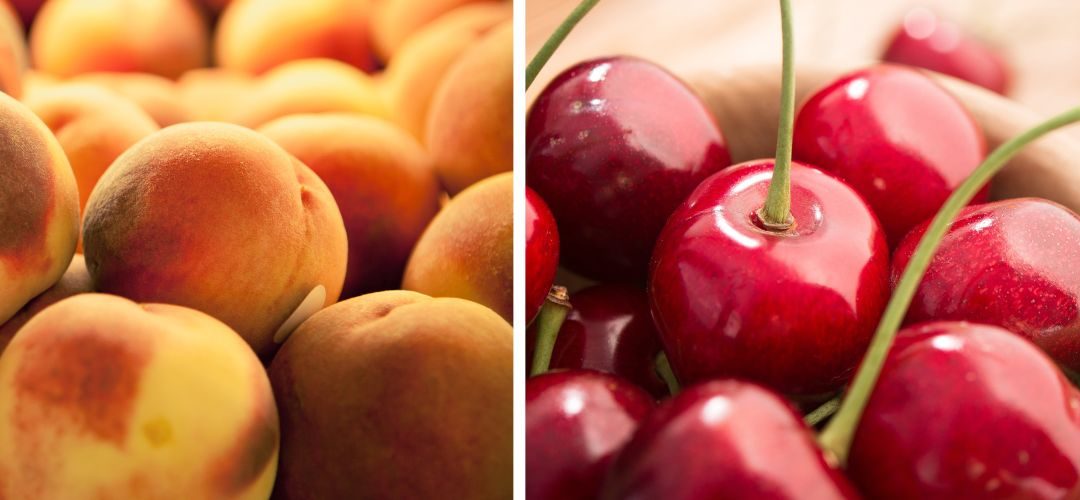 Carozos/Turquía: USDA confirma caídas de la producción de cerezas (-57%) y los duraznos (-45%) para 2025/26