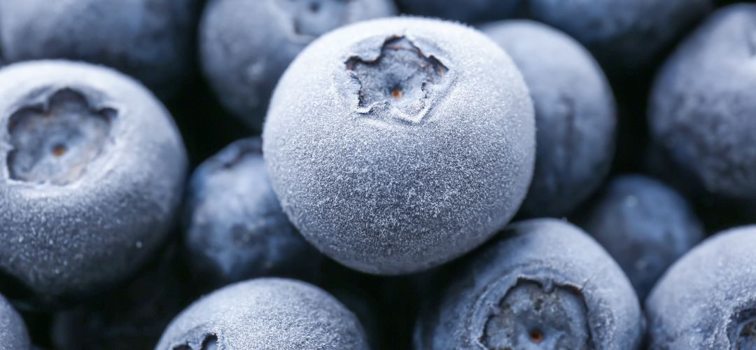 Arándanos Congelados/EE.UU: Productores buscan recuperar terreno en el mercado Japonés gracias a nuevo acuerdo