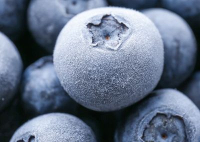 Arándanos Congelados/EE.UU: Productores buscan recuperar terreno en el mercado Japonés gracias a nuevo acuerdo