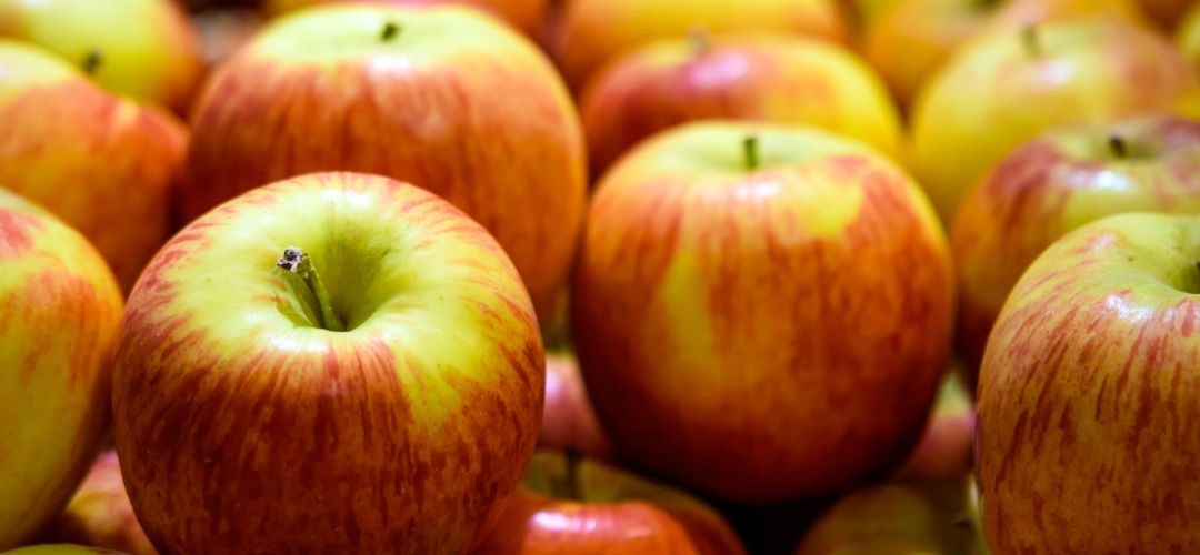 Manzanas/EE.UU: Estiman que cosecha total 2025/26 alcanzará 5,3 millones de toneladas