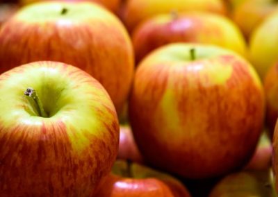 Manzanas/EE.UU: Estiman que cosecha total 2025/26 alcanzará 5,3 millones de toneladas