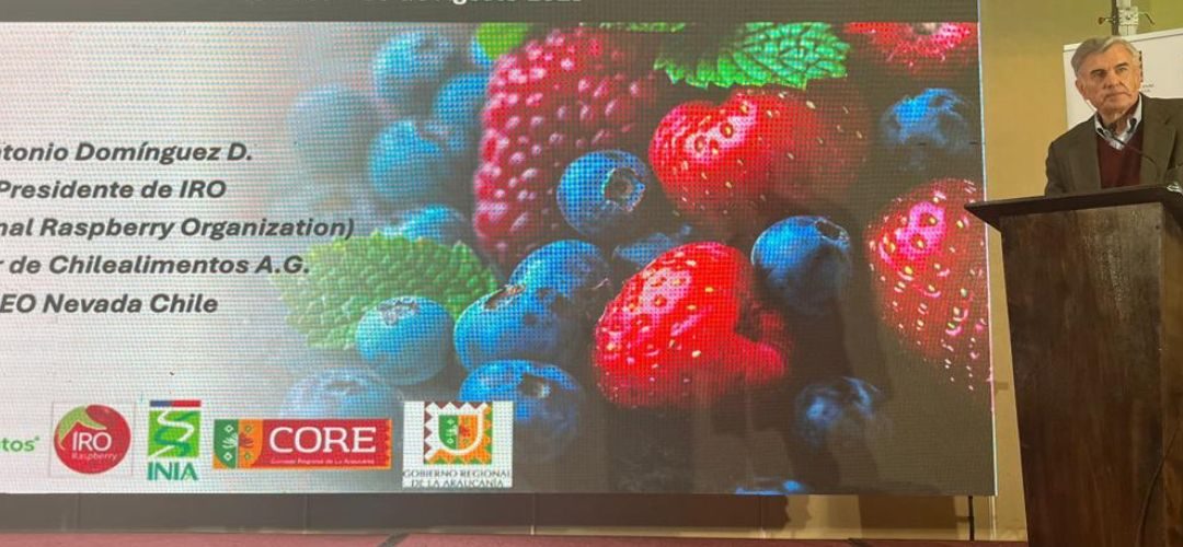 Director de Chilealimentos Antonio Domínguez participó del V Encuentro Frutícola de Araucanía Asociativa