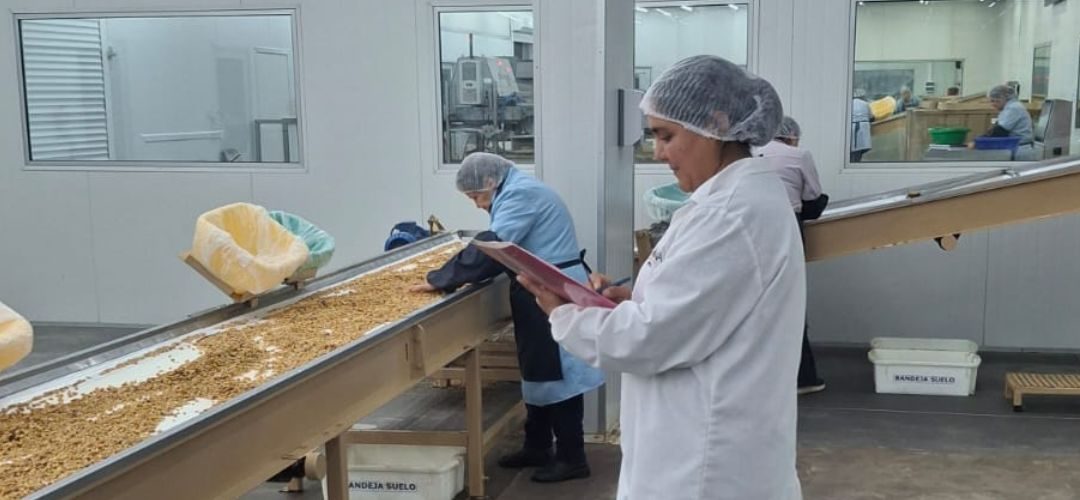 Comienza proceso de evaluación de competencias en 10 perfiles laborales para trabajadores(as) de Anakena