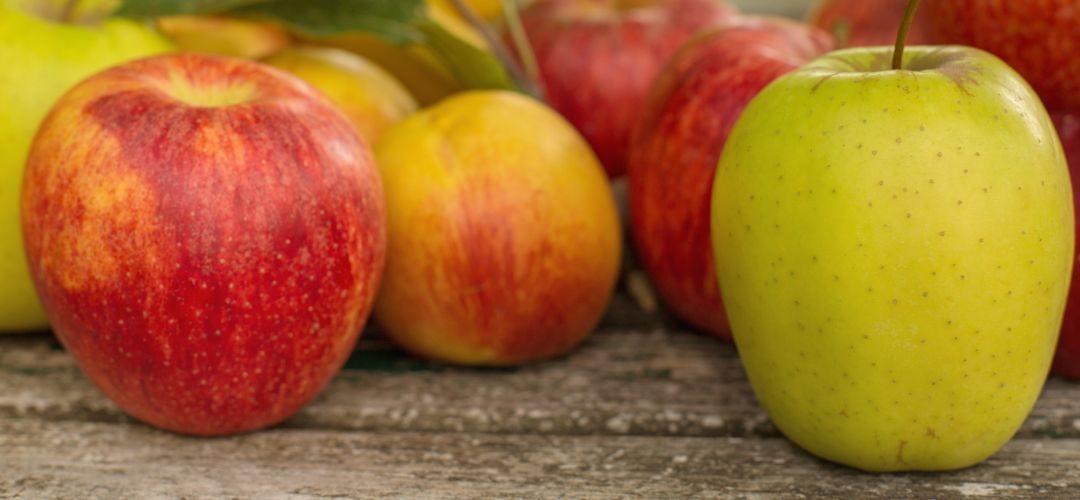 Uzbekistán/Manzanas: pronostican caída de hasta el 30% de la cosecha 2025/26