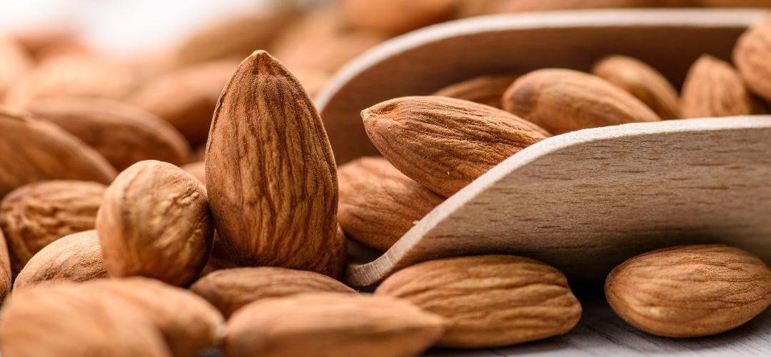 Almendras/España: se reducirá 11% la producción 2025/26 en Granada