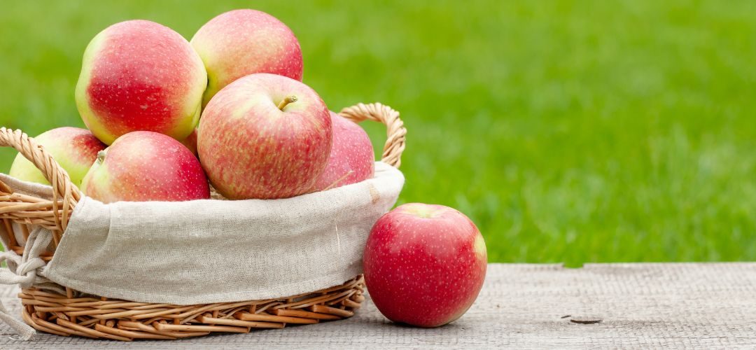 Manzanas/Turquía: Producción 2025/26 se reducirá 95% en una de las principales zonas productoras