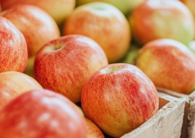 Manzanas/EE.UU: proyectan crecimiento del 12% de materia prima para la industria del procesamiento en año comercial 2025/26