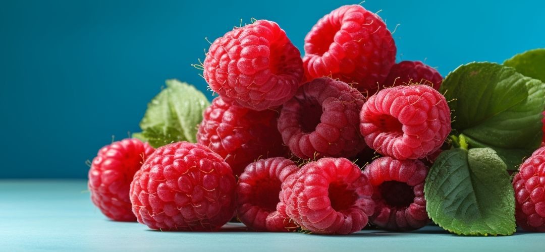 Frambuesa: Polonia pierde liderazgo en Europa por descenso del 30% de la producción y 34% de superficie plantada en menos de una década