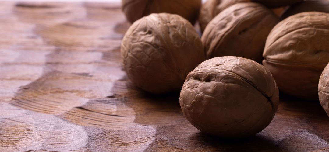 India/Nueces: Productores enfrentan fuerte competencia por importaciones y caída de precios