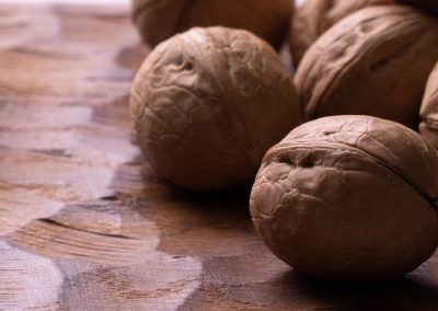 India/Nueces: Productores enfrentan fuerte competencia por importaciones y caída de precios