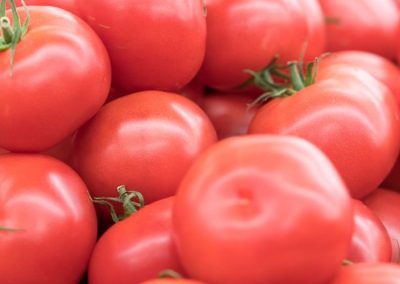 Tomate industrial/Italia: rendimientos se sitúan por debajo del promedio histórico de últimos cinco años en Emilia Romagna