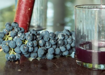 Argentina: Crece volumen exportado de mosto de uva (6,8%) y disminuye el de vino (-7,9%) a agosto 2025