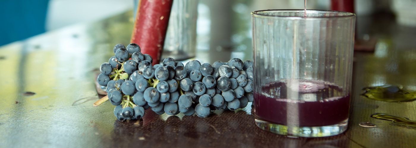 Diseño sin título – 2025-09-16T151056.649