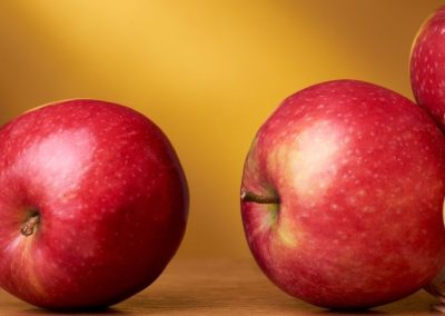 Manzanas/Lituania: heladas destruyen casi el 90% de la cosecha y paraliza a la industria procesadora