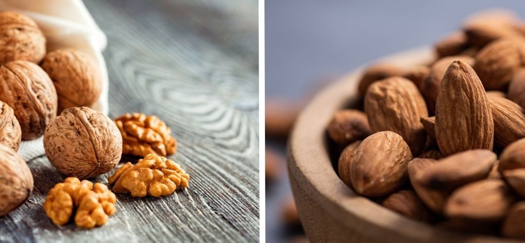 Chile/Frutos Secos: USDA proyecta leves caídas de producción para nueces y almendras en 2025/26