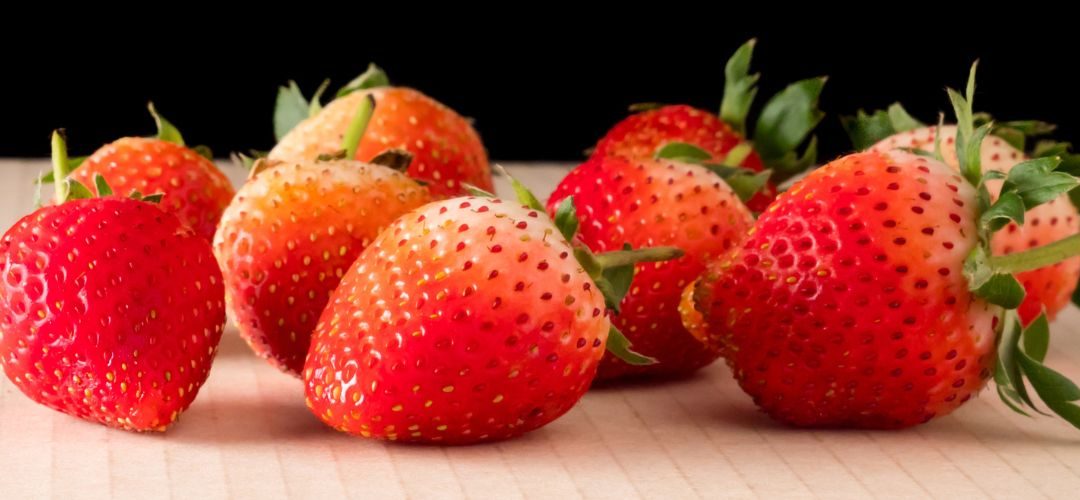 Frutillas/Unión Europea: Producción se ha reducido 13% la última década