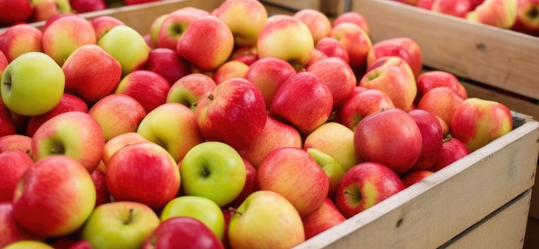 Manzana Industrial: Polonia proyecta que aumentará cosecha, mientras Turquía y China enfrentan caídas por climatología