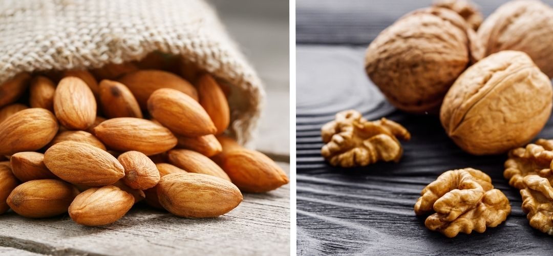 India: Estiman alzas de 15% en las importaciones de nueces y de 3% en las de las almendras para temporada 2025/26