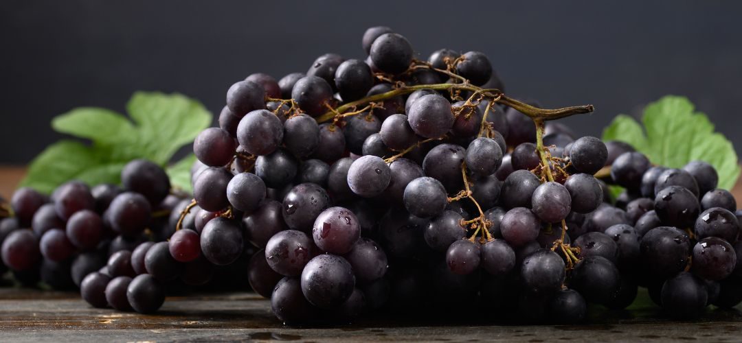 Sudáfrica/Uvas de mesa: Primera estimación sitúa temporada 2025/26 en 79,4 millones de cajas