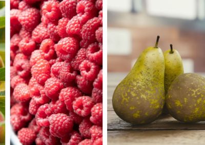 Polonia: Segunda estimación oficial de cosecha señala un alza de 10% en la producción de frutas