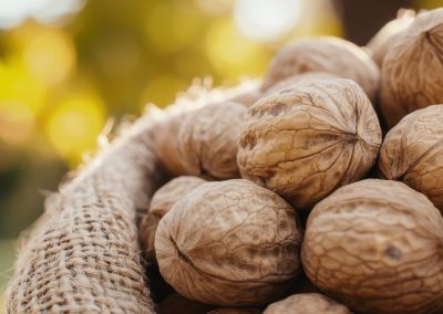 Nueces/Ucrania: USDA estima una producción sobre 100 mil toneladas para 2025/26