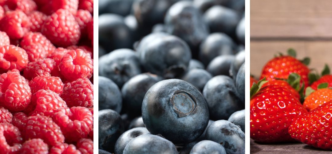 Polonia: Crece la cosecha de Frambuesas (1%) y Arándanos (2%), mientras las frutillas caen (-5%)
