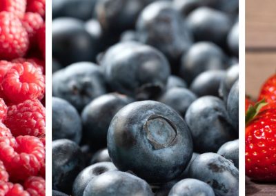 Polonia: Crece la cosecha de Frambuesas (1%) y Arándanos (2%), mientras las frutillas caen (-5%)