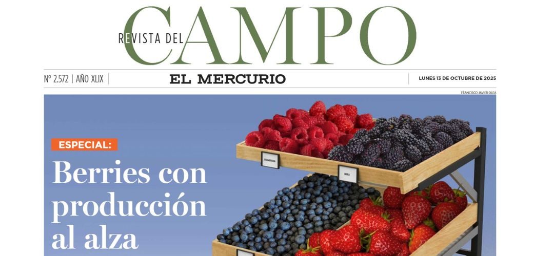 Revista del Campo destaca el desarrollo de la agroindustria de berries congelados