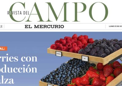 Revista del Campo destaca el desarrollo de la agroindustria de berries congelados