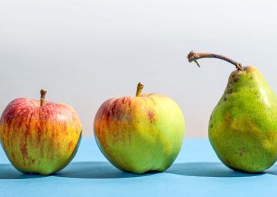 Francia: Producción 2025/26 de manzanas se reducirá 4% y las peras 2%