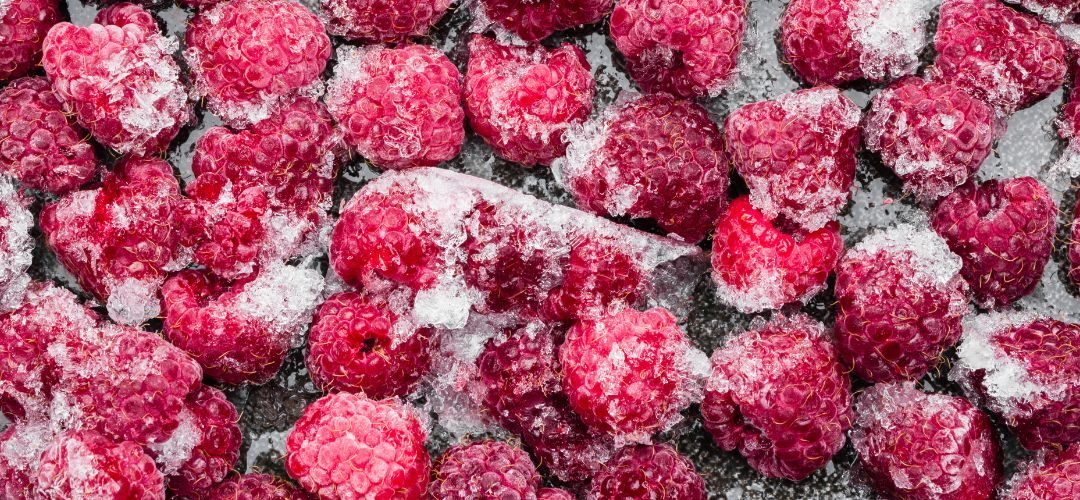 Frambuesas Congeladas: Marruecos y Serbia ganan terreno en el mercado polaco, mientras Ucrania sigue liderando