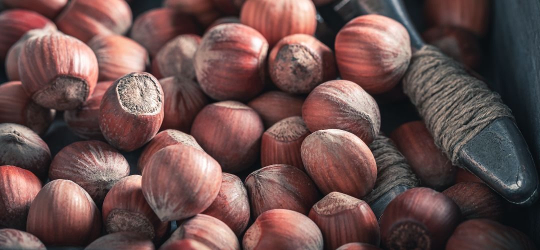 Turquía/Avellanas: Pronostican caída del 40% de rendimiento con alzas de los precios de hasta 30% en 2025/26