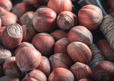 Turquía/Avellanas: Pronostican caída del 40% de rendimiento con alzas de los precios de hasta 30% en 2025/26