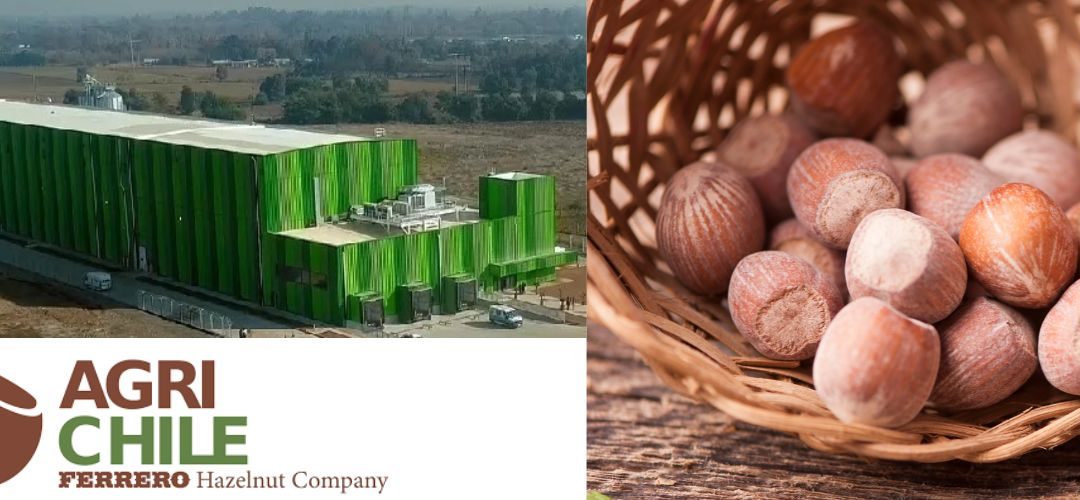 Ferrero realizará nuevas inversiones en nuestro país y proyecta producción de 150 mil toneladas al año 2030