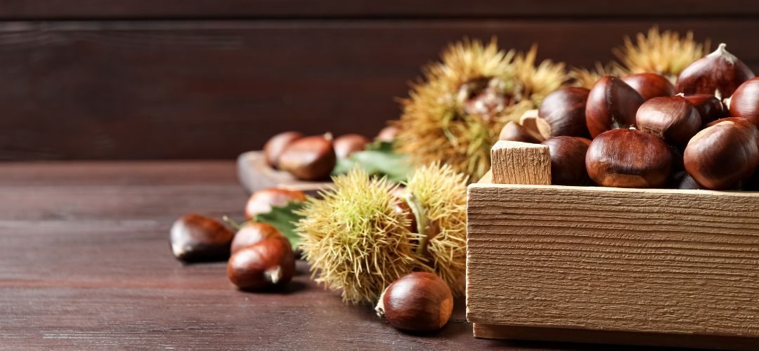 Castañas: Precios a la baja para todos los calibres en Italia